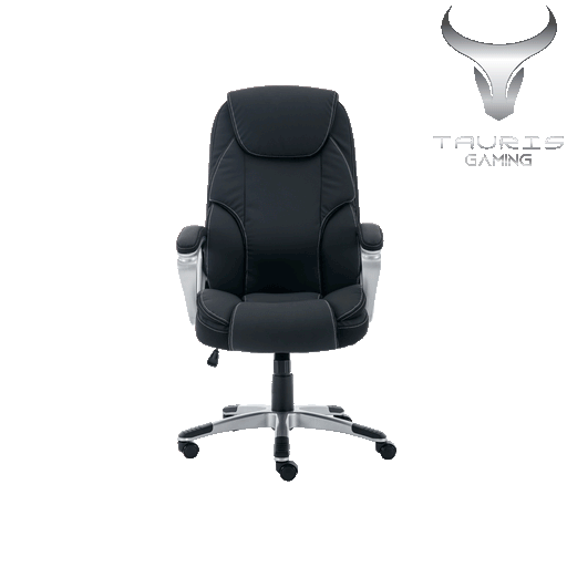 Legacy Ergonomic Office Chair, padded fixed arm rests, Black by Tauris -Home Living Store - -