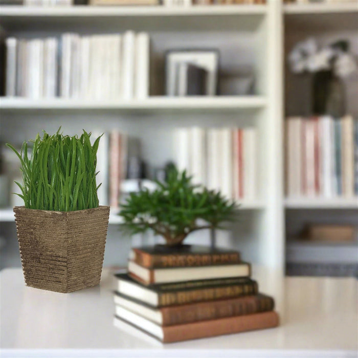 Lush Green 16cm Artificial Pot Plant by Criterion -Home Living Store - -