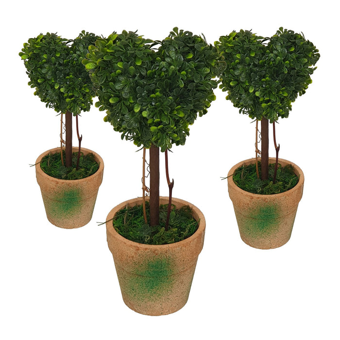Topiary Pack -Home Living Store - -