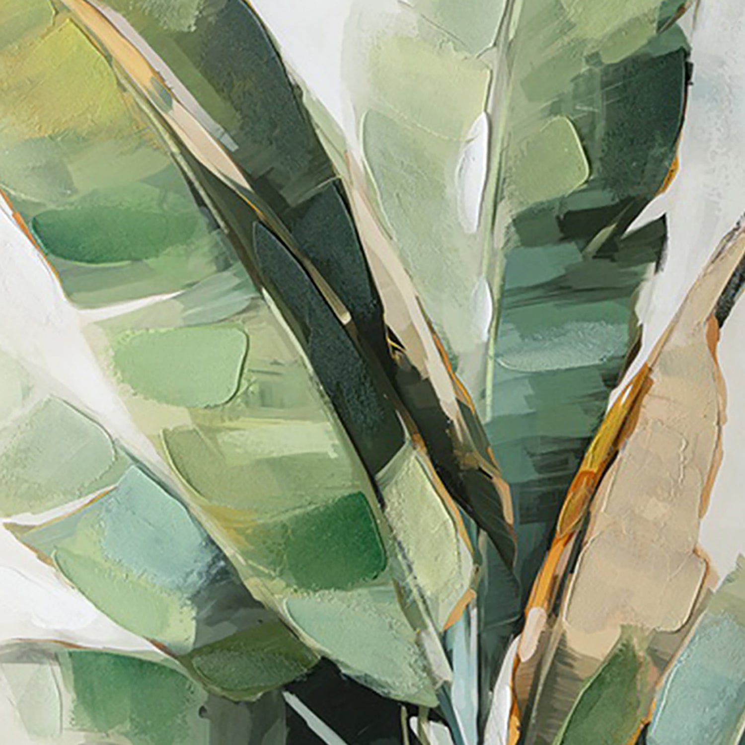 Banana Palm
