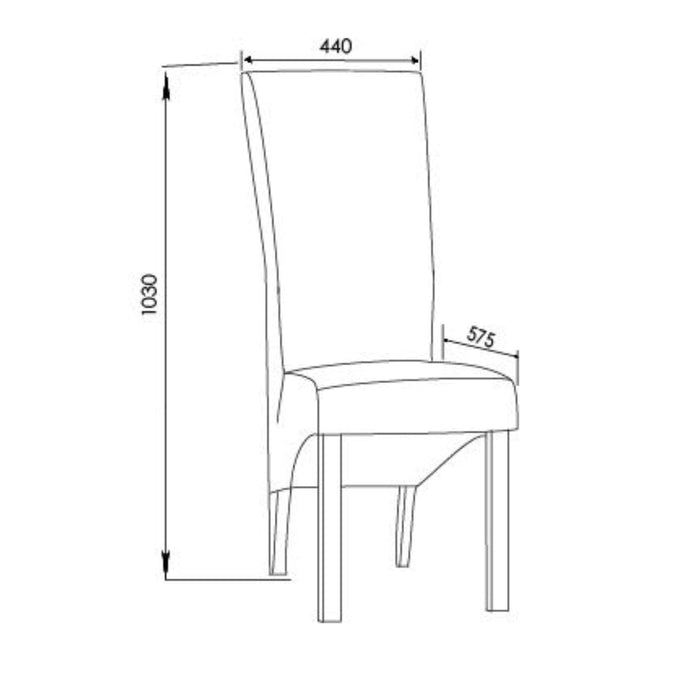 Arya Fabric Dining Chair (Set of Two) -Home Living Store - -  
