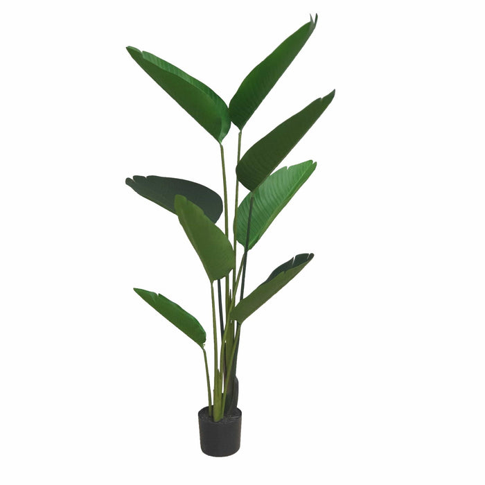Banana Palm 150cm Artificial Plant by Criterion -Home Living Store - -  