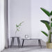Banana Palm 180cm Artifical Plant by Criterion -Home Living Store - -  
