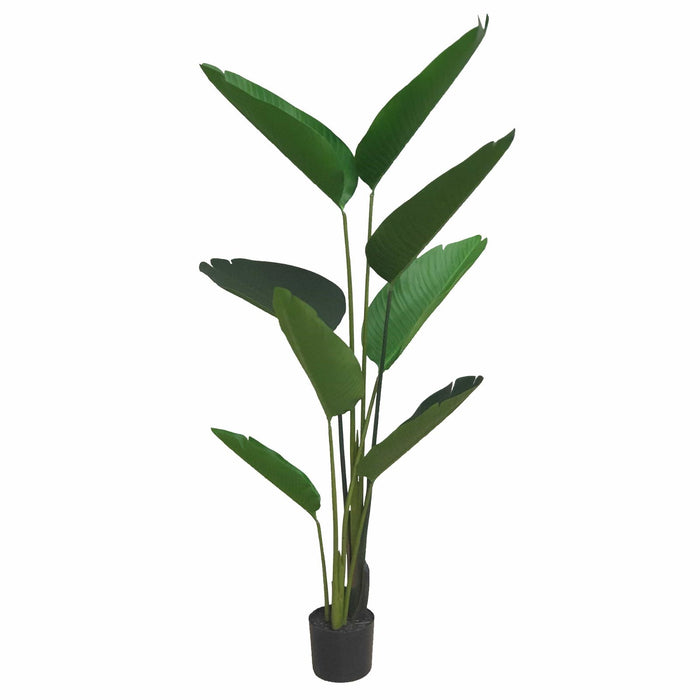 Banana Palm 180cm Artifical Plant by Criterion -Home Living Store - -  