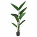 Banana Palm 180cm Artifical Plant by Criterion -Home Living Store - -  