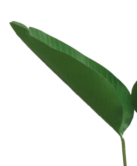 Banana Palm 180cm Artifical Plant by Criterion -Home Living Store - -  
