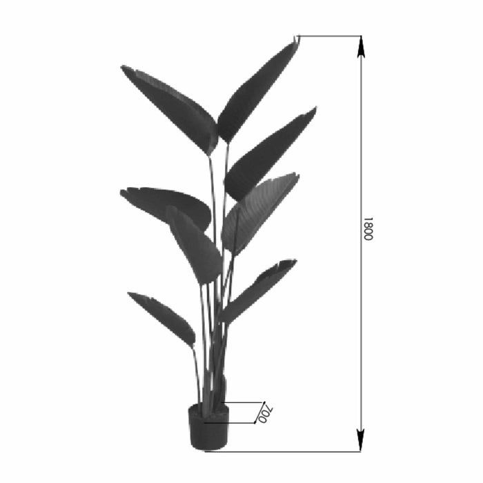 Banana Palm 180cm Artifical Plant by Criterion -Home Living Store - -  