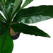 Broad Leaf Plant 43cm Artificial Plant by Criterion -Home Living Store - -  