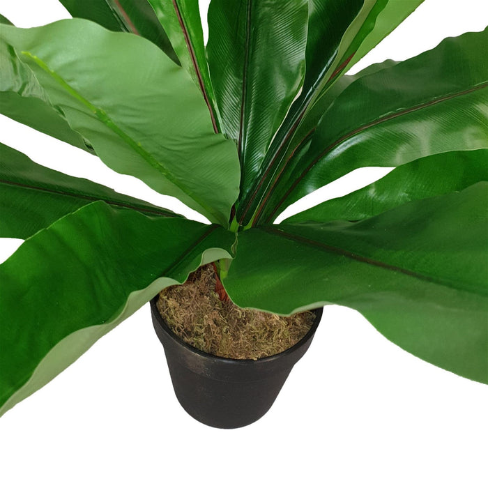 Broad Leaf Plant 43cm Artificial Plant by Criterion -Home Living Store - -  