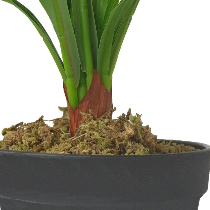 Broad Leaf Plant 43cm Artificial Plant by Criterion -Home Living Store - -  