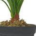 Broad Leaf Plant 43cm Artificial Plant by Criterion -Home Living Store - -  