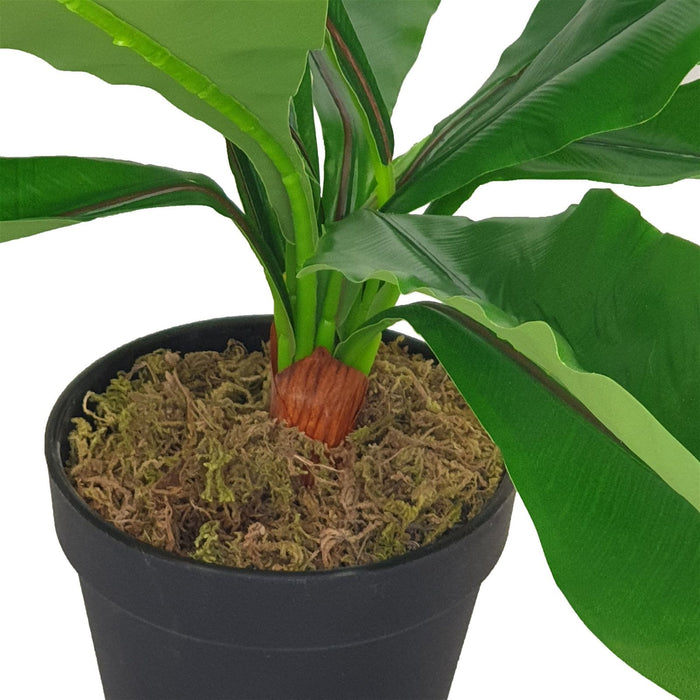 Broad Leaf Plant 43cm Artificial Plant by Criterion -Home Living Store - -  
