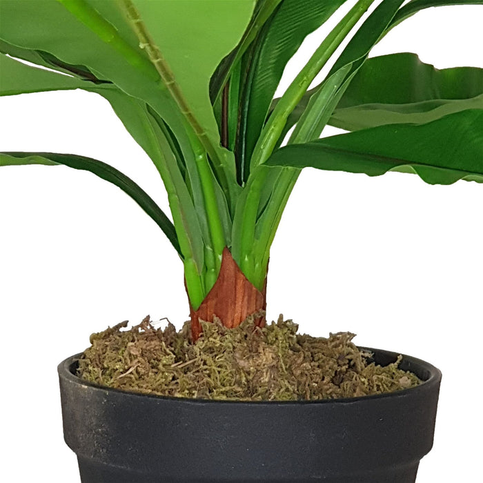 Broad Leaf Plant 43cm Artificial Plant by Criterion -Home Living Store - -  