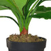 Broad Leaf Plant 43cm Artificial Plant by Criterion -Home Living Store - -  