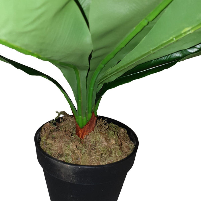Broad Leaf Plant 43cm Artificial Plant by Criterion -Home Living Store - -  