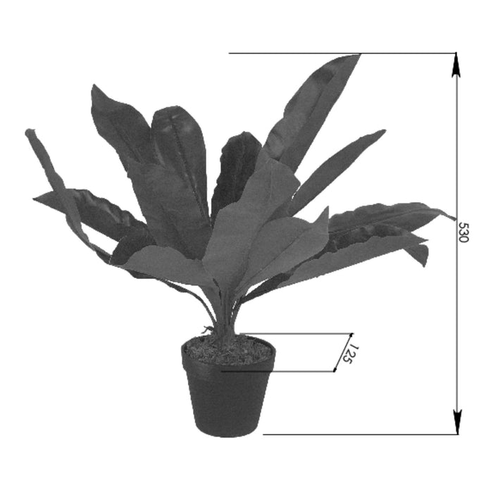 Broad Leaf Plant 43cm Artificial Plant by Criterion -Home Living Store - -  