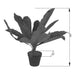 Broad Leaf Plant 43cm Artificial Plant by Criterion -Home Living Store - -  