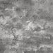 Nested Coffee Table Walnut/Cement by Urban Style -Home Living Store - -  