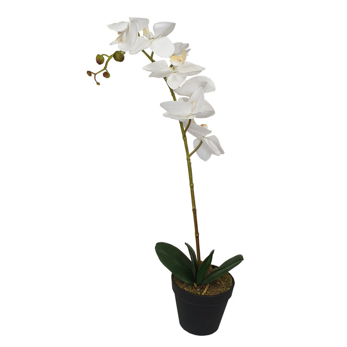 Orchid With White Flowers 60cm Artificial Plant by Criterion