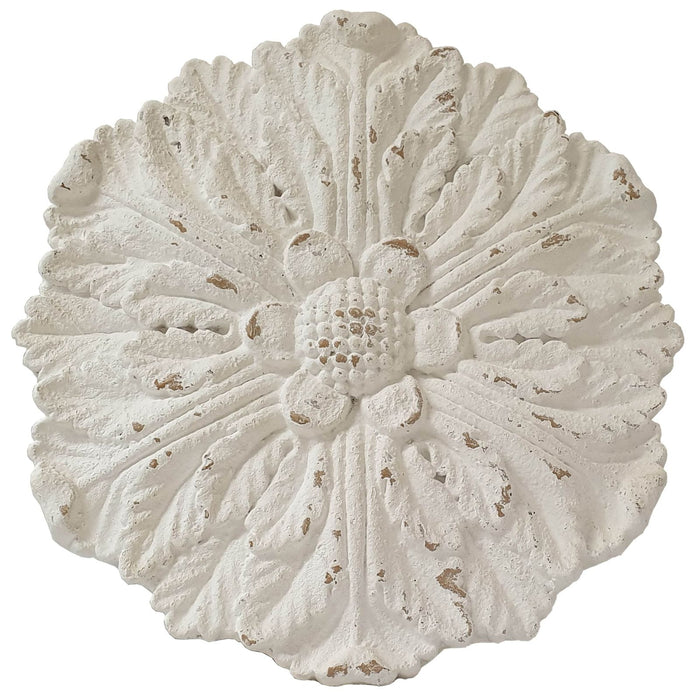 Dianthus Circle of Flowers Floral Wall Art by Urban Style -Home Living Store - -  