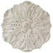 Dianthus Circle of Flowers Floral Wall Art by Urban Style -Home Living Store - -  