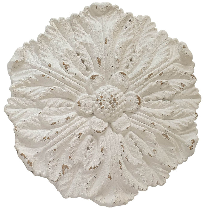 Dianthus Circle of Flowers Floral Wall Art by Urban Style -Home Living Store - -  