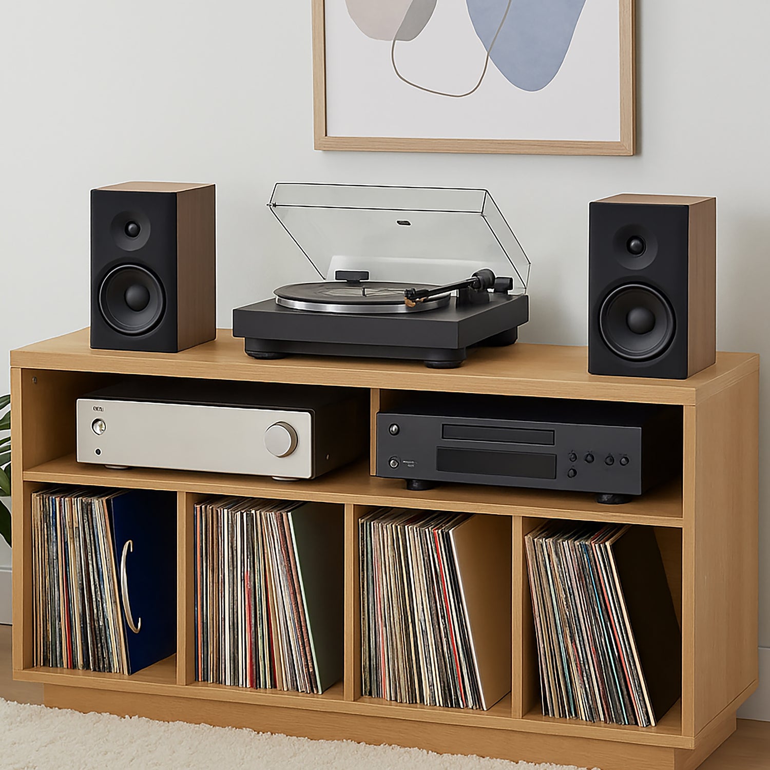 Vinyl Record / Media Storage Shelves