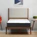 Giselle Bedding 16cm Mattress Medium Firm Single -Home Living Store - -  