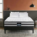 Giselle Bedding 21cm Mattress Pillow Top King -Home Living Store - -  
