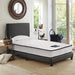 Giselle Bedding 21cm Mattress Tight Top King Single -Home Living Store - -  