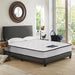 Giselle Bedding 21cm Mattress Tight Top Queen -Home Living Store - -  