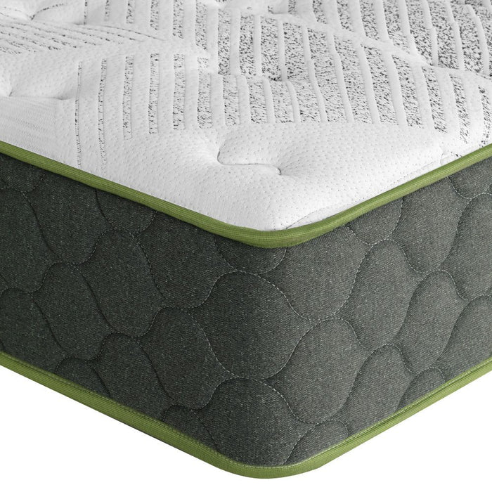 Giselle Bedding 25cm Mattress Green Tea Foam Queen -Home Living Store - -  