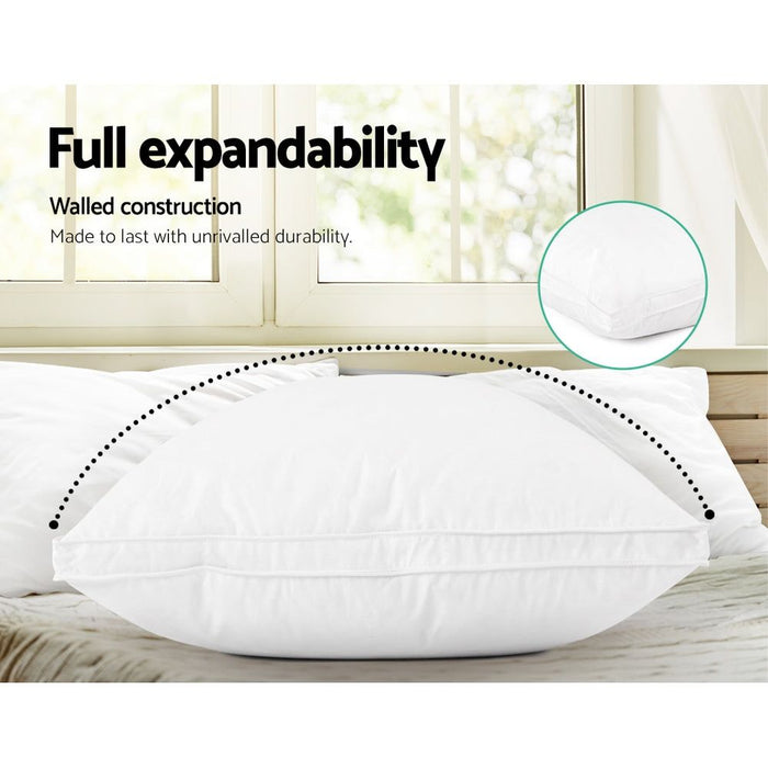Giselle Bedding Duck Feather Down Pillow Luxury Twin Pack -Home Living Store - -  
