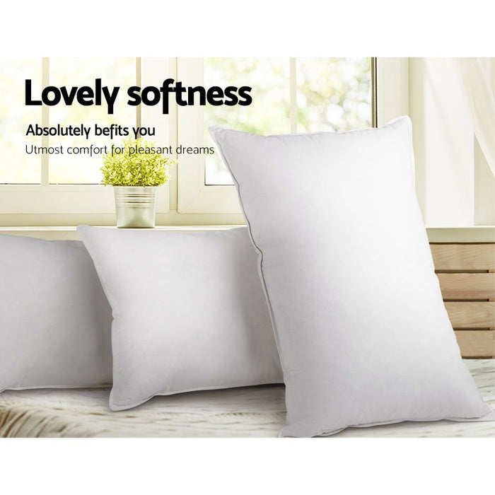 Giselle Bedding Duck Feather Down Pillow Twin Pack -Home Living Store - -  