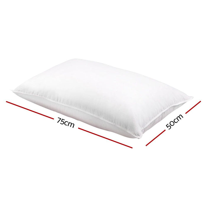 Giselle Bedding Duck Feather Down Pillow Twin Pack -Home Living Store - -  
