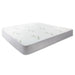Giselle Bedding Mattress Protector Bamboo Queen -Home Living Store - -  