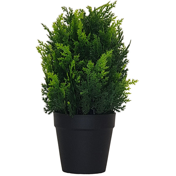 Green Shrub 25cm Life-like Artificial Plant by Criterion -Home Living Store - -  