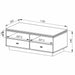 HOLLYWOOD Coffee Table Dark Oak by Tauris -Home Living Store - -  