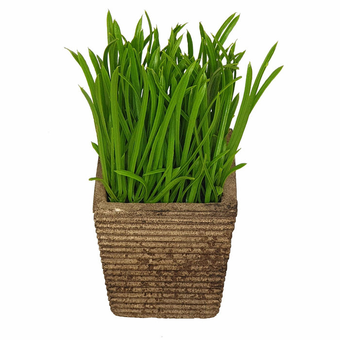 Lush Green 16cm Artificial Pot Plant by Criterion -Home Living Store - -  
