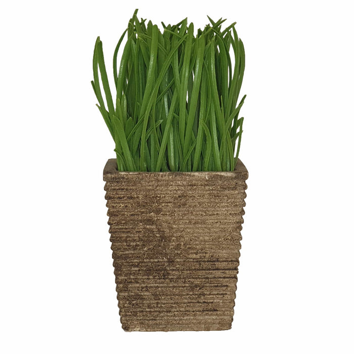 Lush Green 16cm Artificial Pot Plant by Criterion -Home Living Store - -  