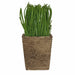 Lush Green 16cm Artificial Pot Plant by Criterion -Home Living Store - -  