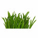 Lush Green 16cm Artificial Pot Plant by Criterion -Home Living Store - -  