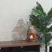 Nest Cavity Candle Holder by Urban Style -Home Living Store - -  