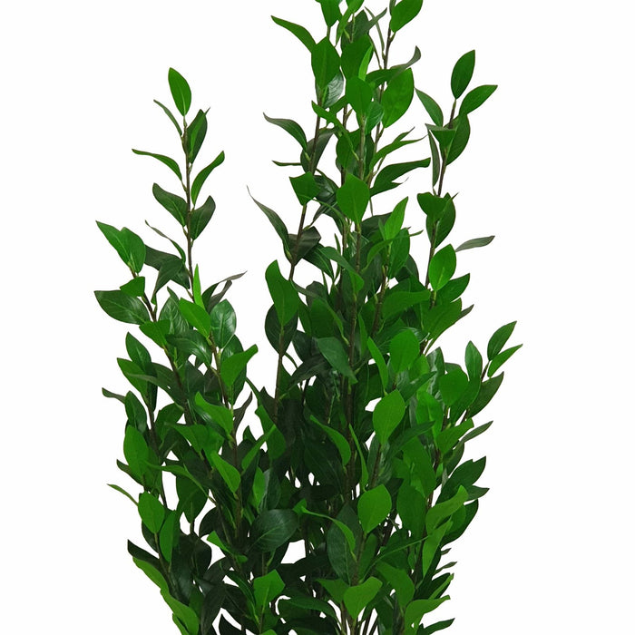 Olive Tree 140cm Artificial Plant by Criterion -Home Living Store - -  