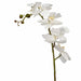 Orchid With White Flowers 60cm Artificial Plant by Criterion -Home Living Store - -  