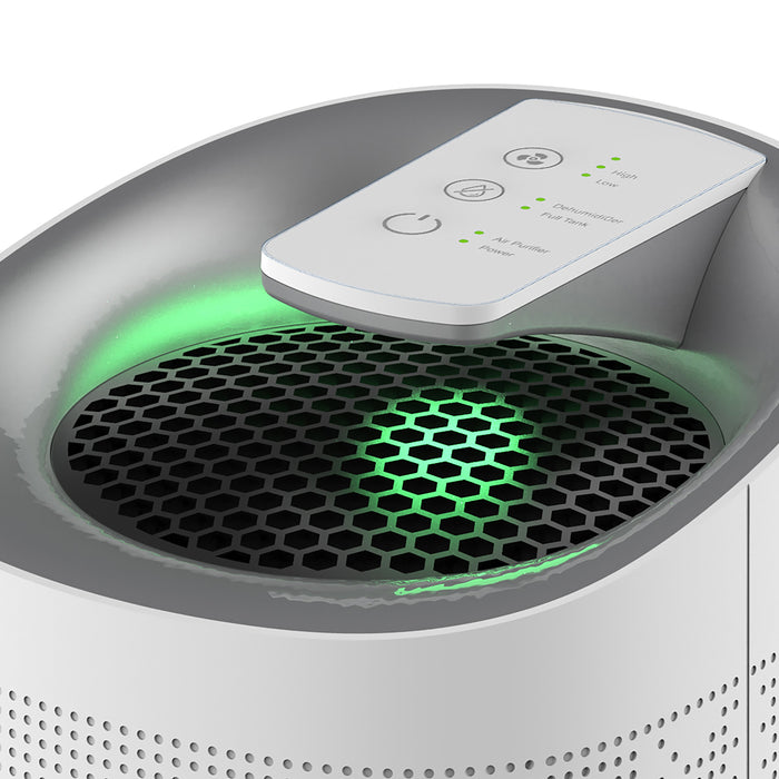 Sheffield 2-in-1 Dehumidifier & Air Purifier
