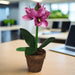 Pink Flower Plant 40cm Artificial Plant by Criterion -Home Living Store - -  