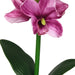 Pink Flower Plant 40cm Artificial Plant by Criterion -Home Living Store - -  