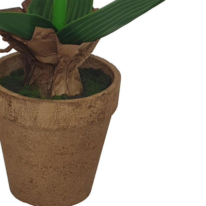 Pink Flower Plant 40cm Artificial Plant by Criterion -Home Living Store - -  