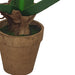 Pink Flower Plant 40cm Artificial Plant by Criterion -Home Living Store - -  